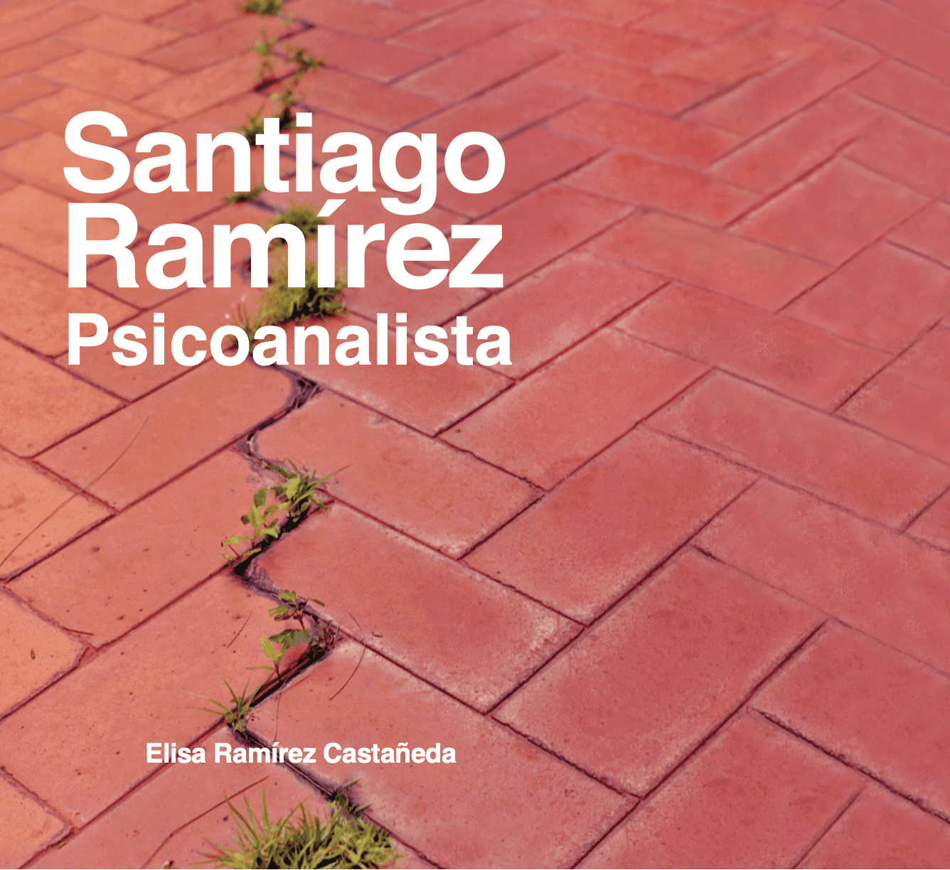 Portada de Santiago Ramírez psicoanalista ideas, anécdotas, casos, fragmentos y aforismos tomados de sus seminarios 1977-1980